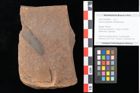 Foto (Objekt + Etikett) von Quercus palaeoilex Ettingshausen (NHMW-GEO-2024-0188-0862)
